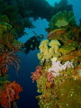   Exploring Sanisan Maru Truk Lagoon  